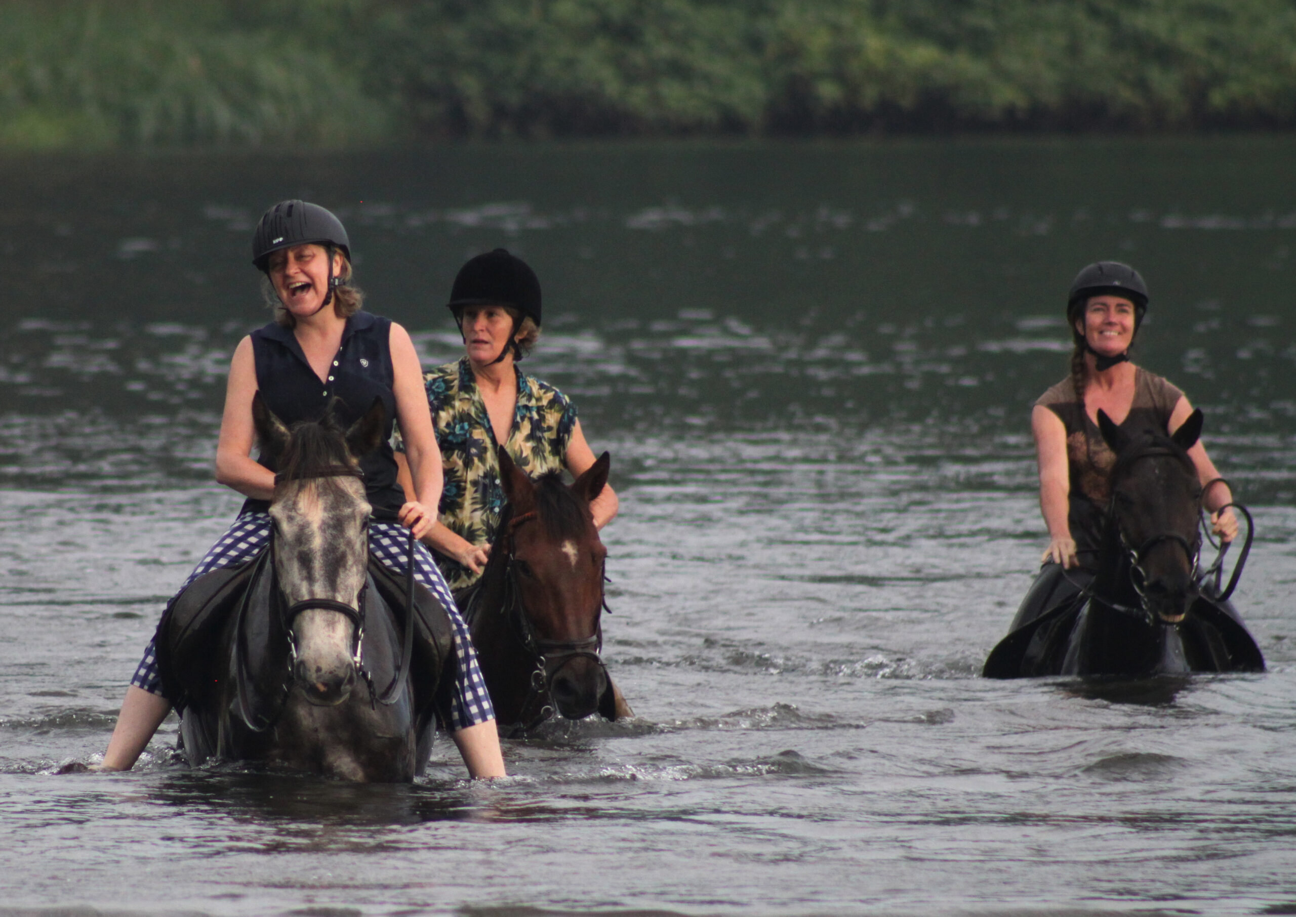 Paardrijden langs de Nijl in Uganda - Vakantie te paard / Reisbureau Perlan
