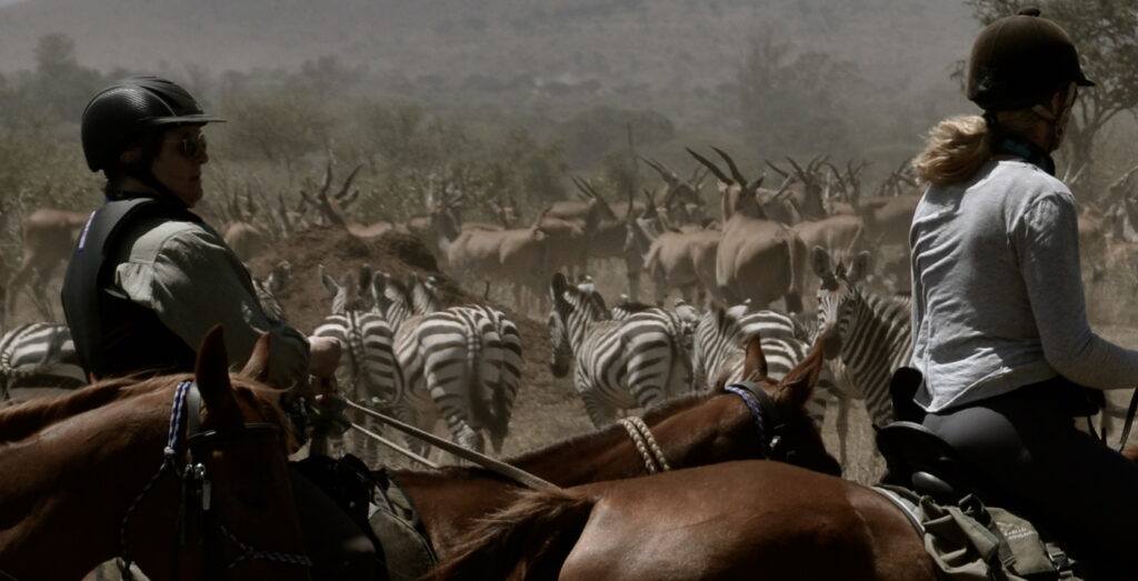 Safari te paard in Kaskazi / Tanzania - Vakantie te paard / Reisbureau Perlan