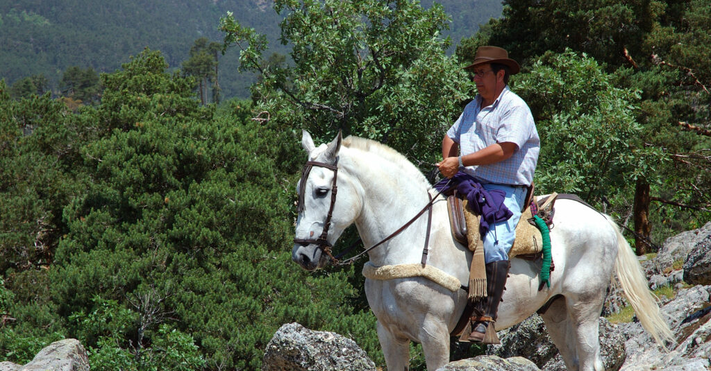 Transhumance te paard - Vakantie te paard / Reisbureau Perlan