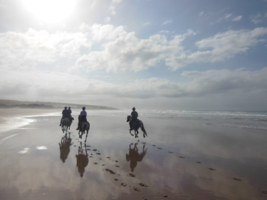 3 paarden op het strand in zuid-afrika