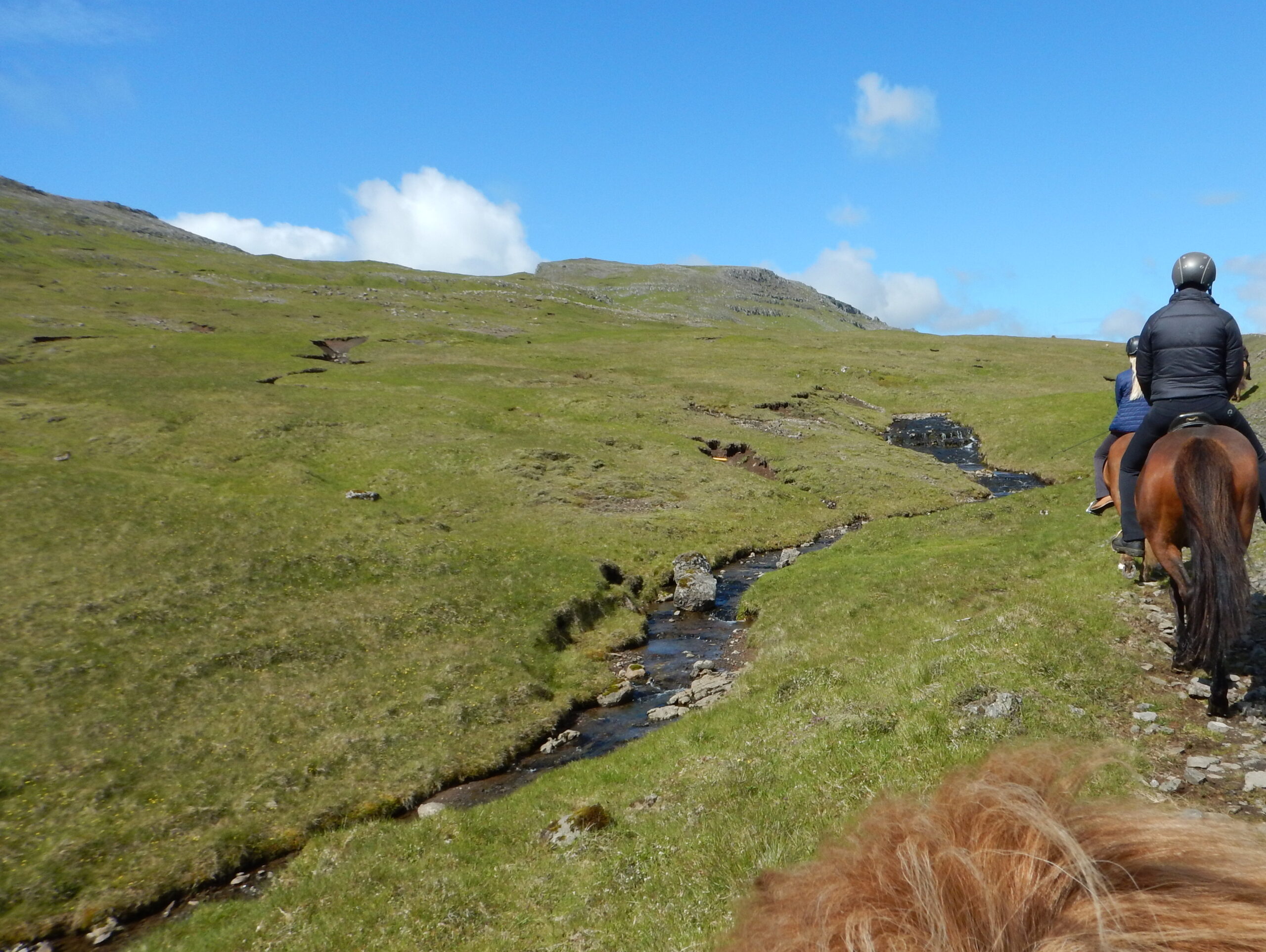 Te paard op de Faroereilanden - Vakantie te paard / Reisbureau Perlan