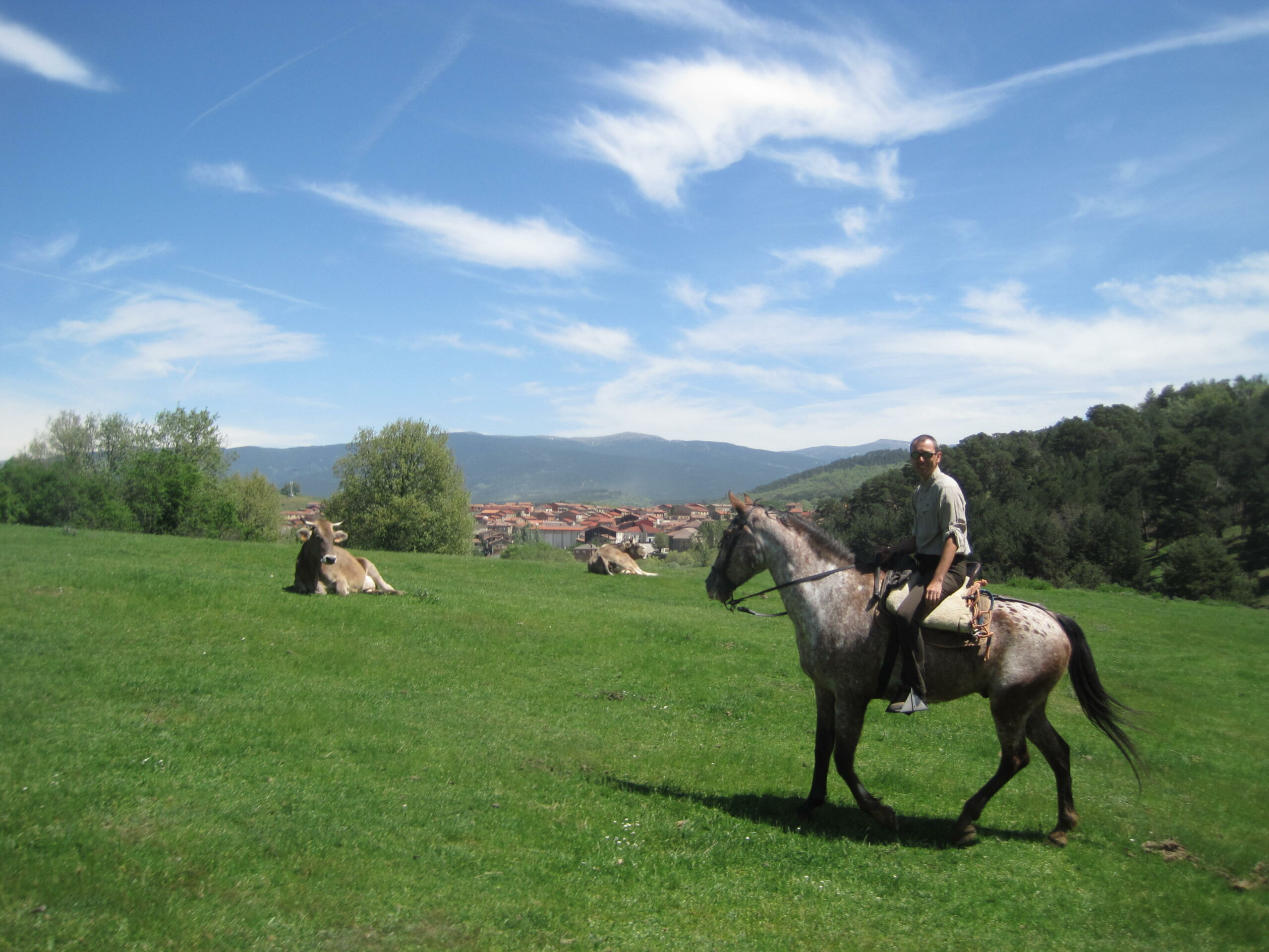 Te paard langs de Transhumance - Vakantie te paard / Reisbureau Perlan