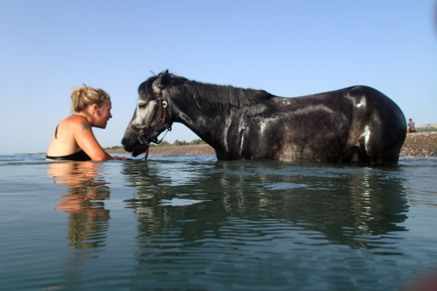 Zwemmen met paarden aan de Costa Brava - Vakantie te paard / Reisbureau Perlan