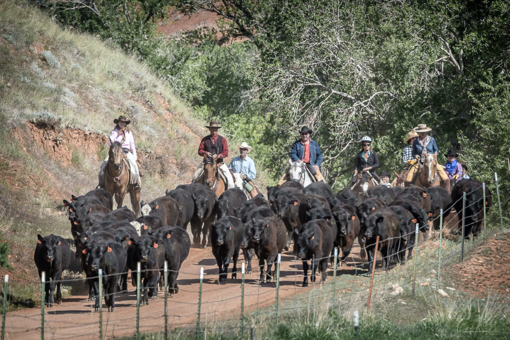 Hideout Ranch - Reisverslag Ranch Vakantie te paard in Wyoming, Noord Amerika - Reisverslag en ervaring paardrijvakantie - Vakantie te paard / Reisbureau Perlan