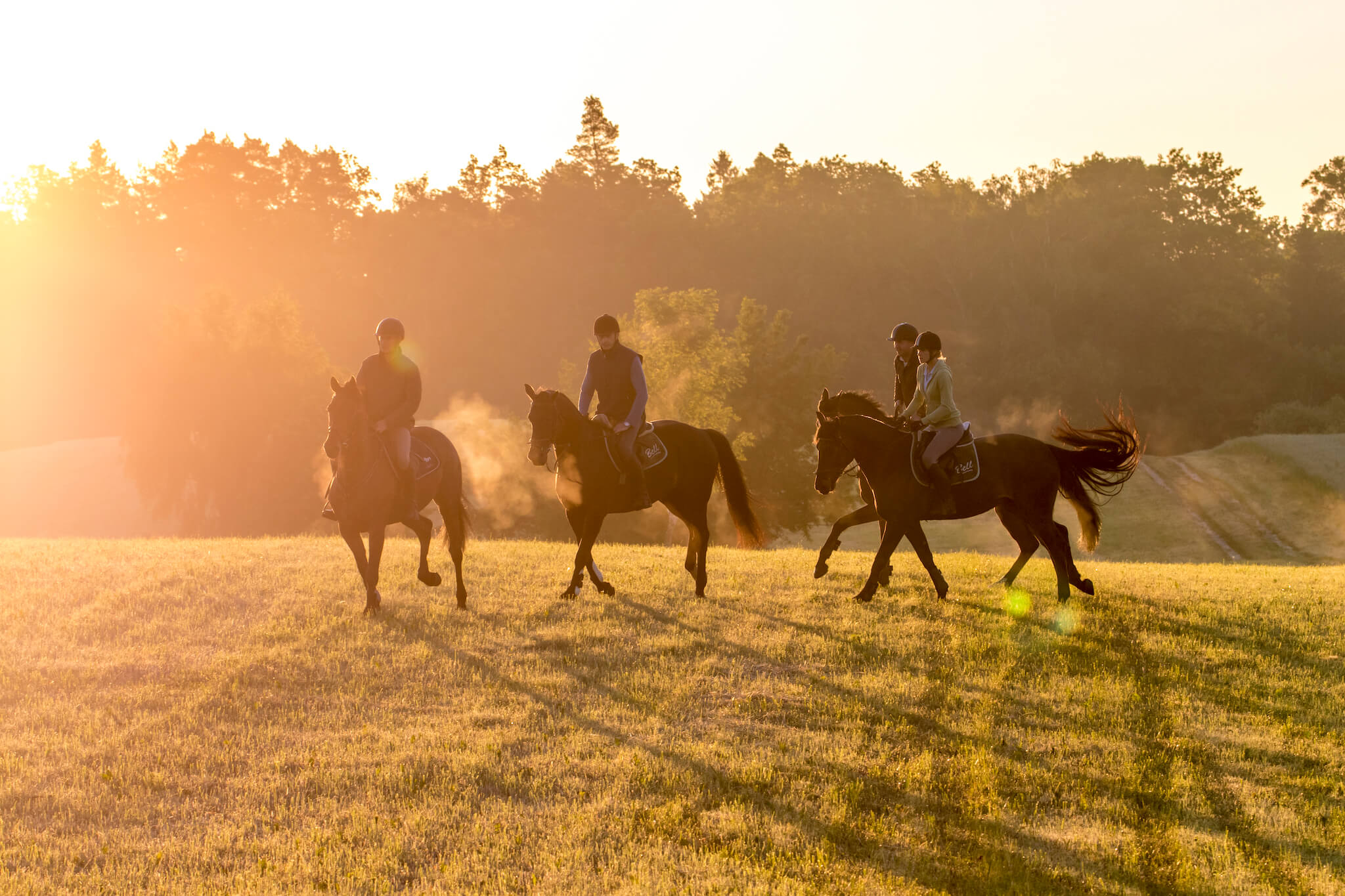 3 paarden met ruiter bij zonsondergang in Polen