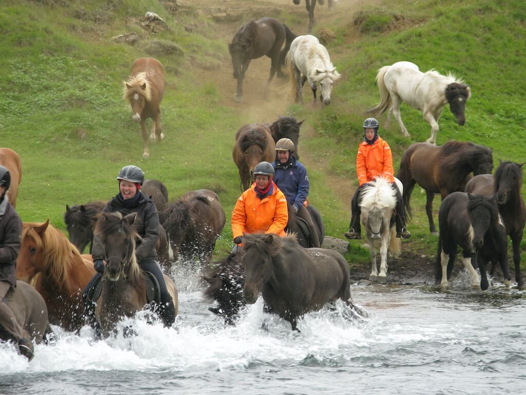 Paardrijden in het land van ijs en vuur - Blog over paardrijvakantie - Vakantie te paard / Reisbureau Perlan