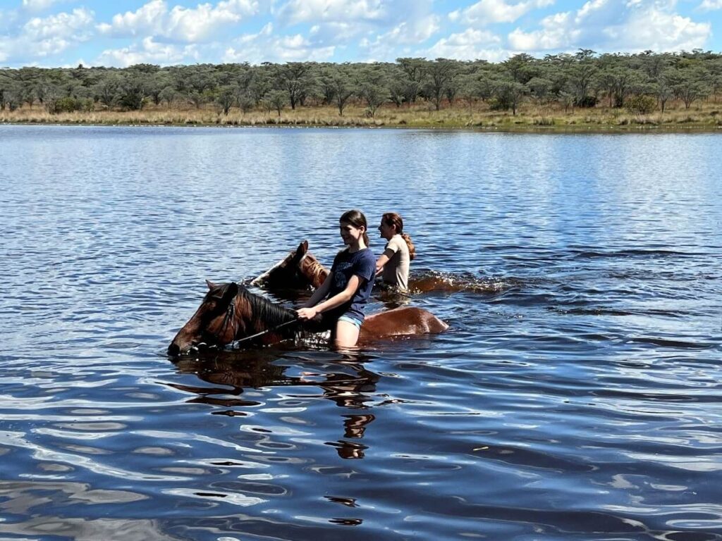 Zwemmen met paarden - Op safari te paard in Zuid Afrika met kinderen 2022 - Reisverslag en ervaring paardrijvakantie - Vakantie te paard / Reisbureau Perlan