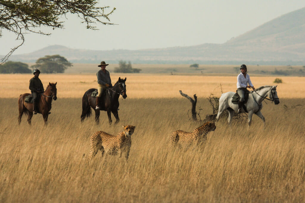 Ol Donyo, safari te paard in Kenia - Reisverslag en ervaring paardrijvakantie - Vakantie te paard / Reisbureau Perlan