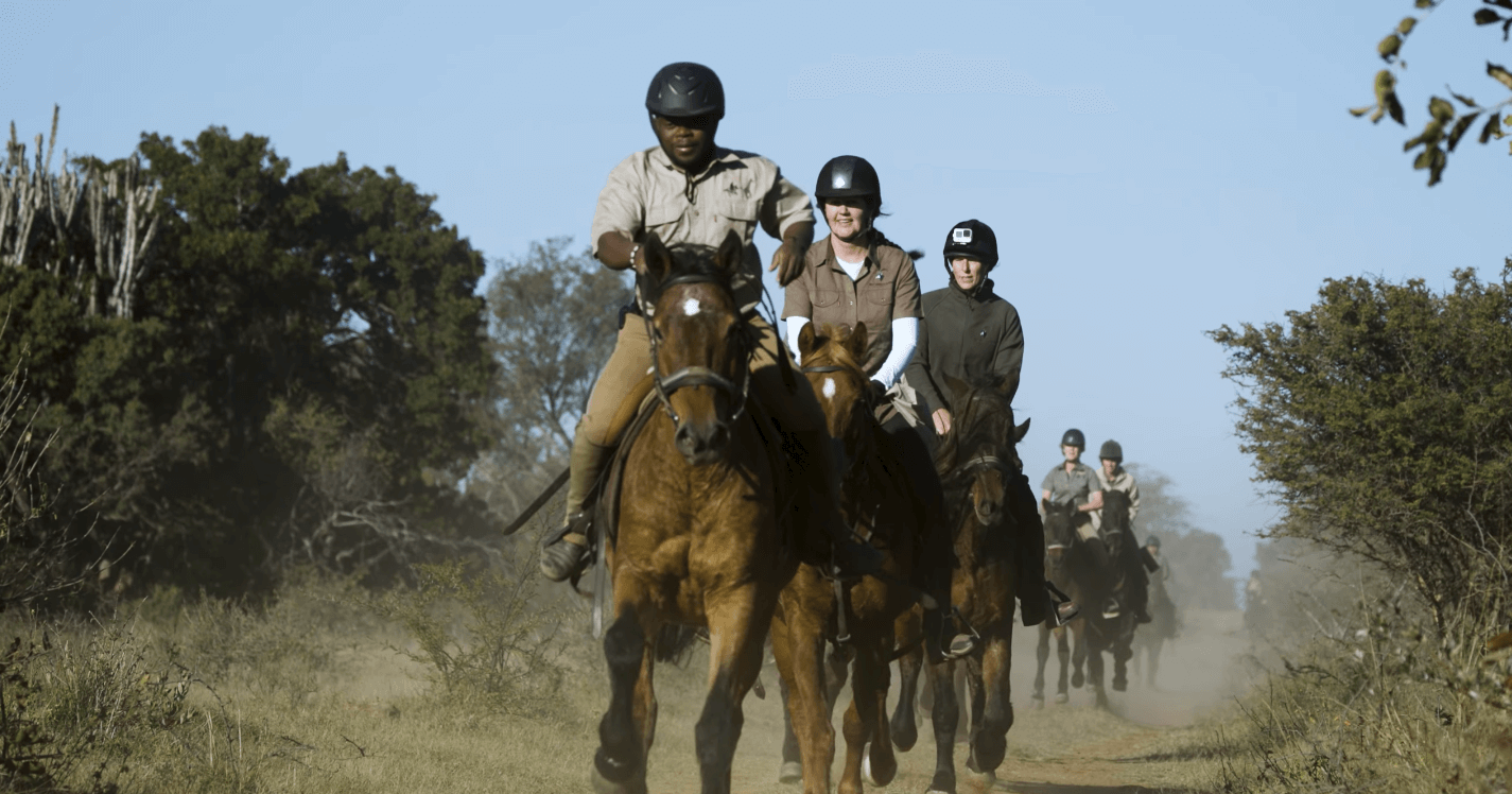 paard en ruiters op safari in Zuid-Afrika