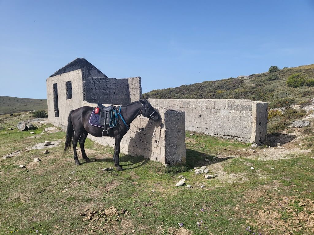 Paardrijvakantie in het noorden van Portugal - Reisverslag en ervaring paardrijvakantie - Vakantie te paard / Reisbureau Perlan