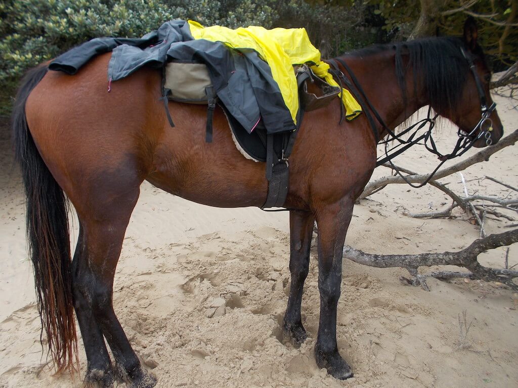 Handige tips voor het inpakken voor je paardrijvakantie | Blog over paardrijvakantie - Vakantie te paard / Reisbureau Perlan