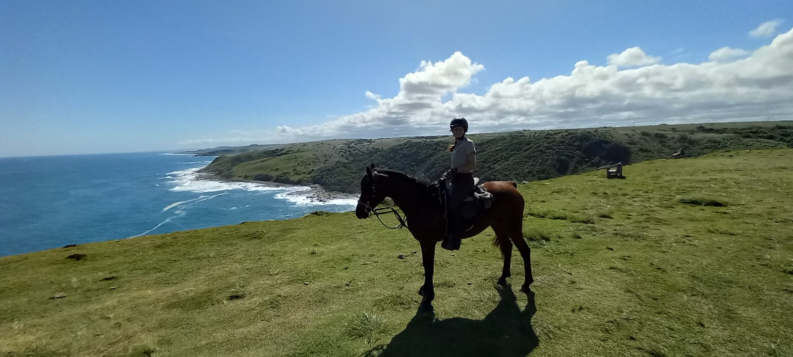 paard en ruiter op de wilde kust in Zuid-Afrika