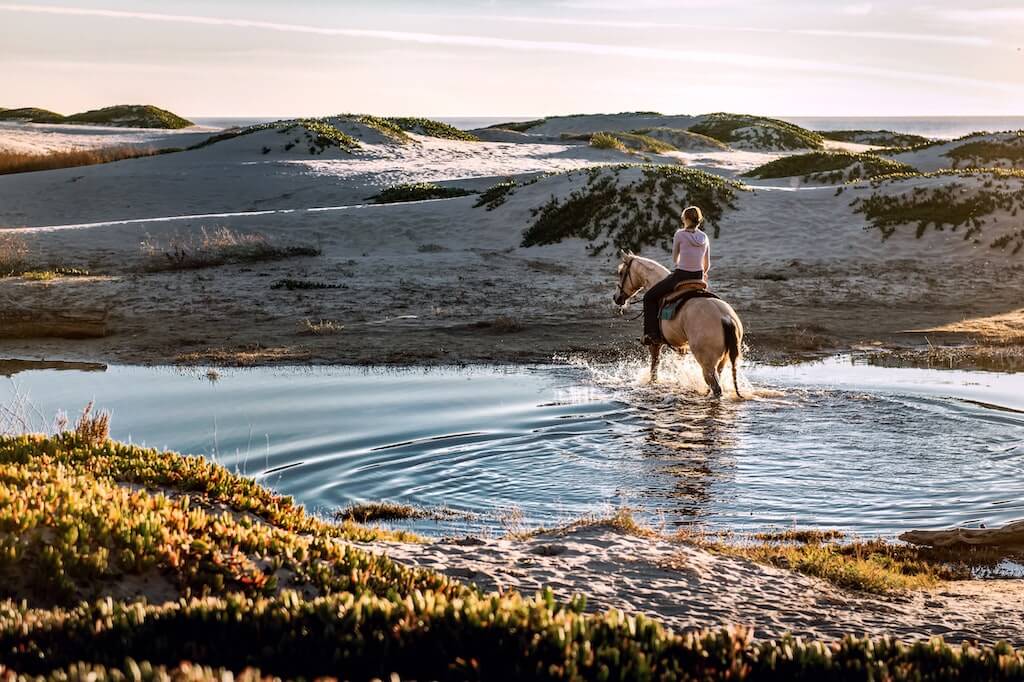 paard en ruiter stappen over rivier