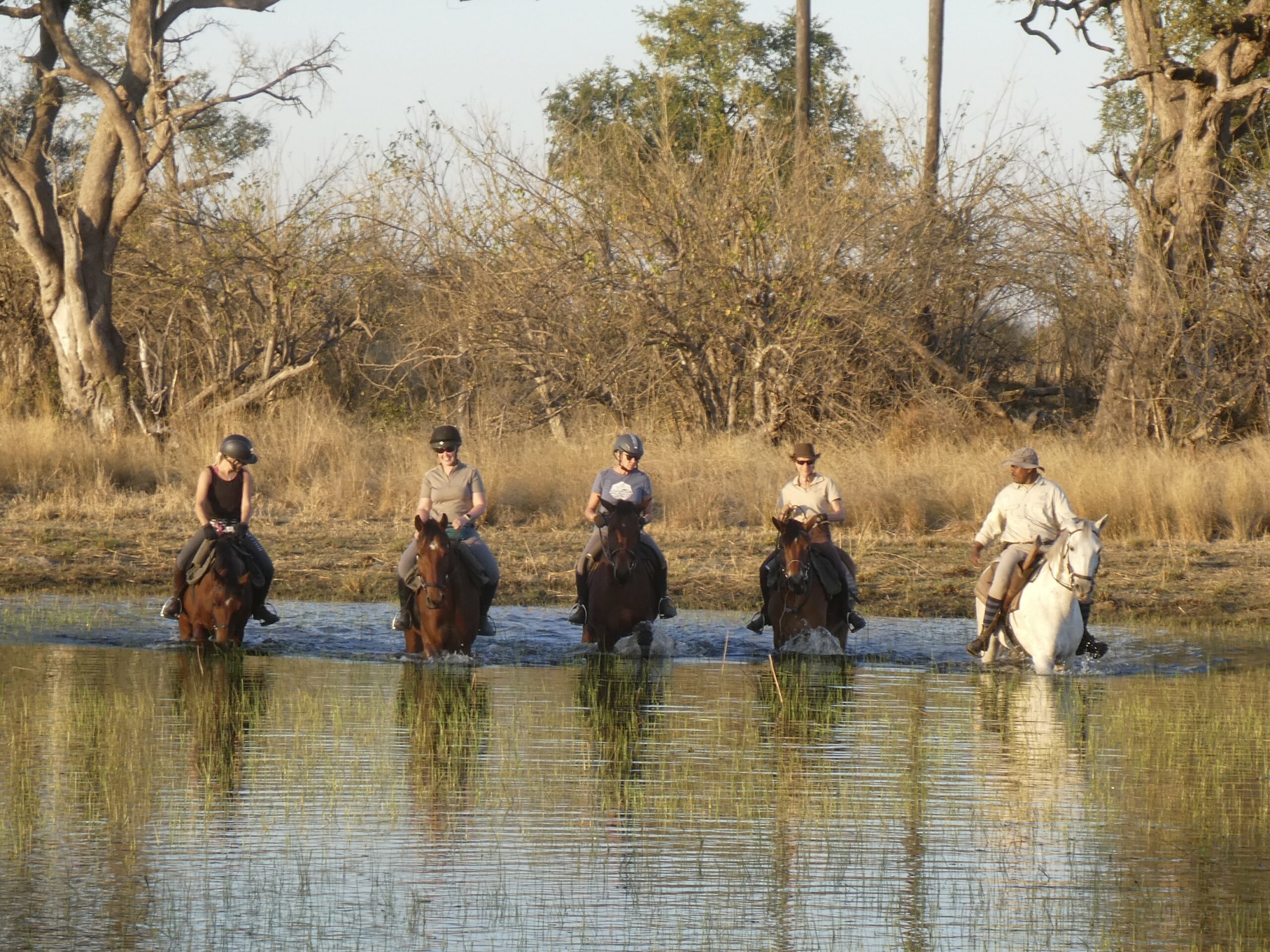 5 ruiters op safari door het water in Botswana
