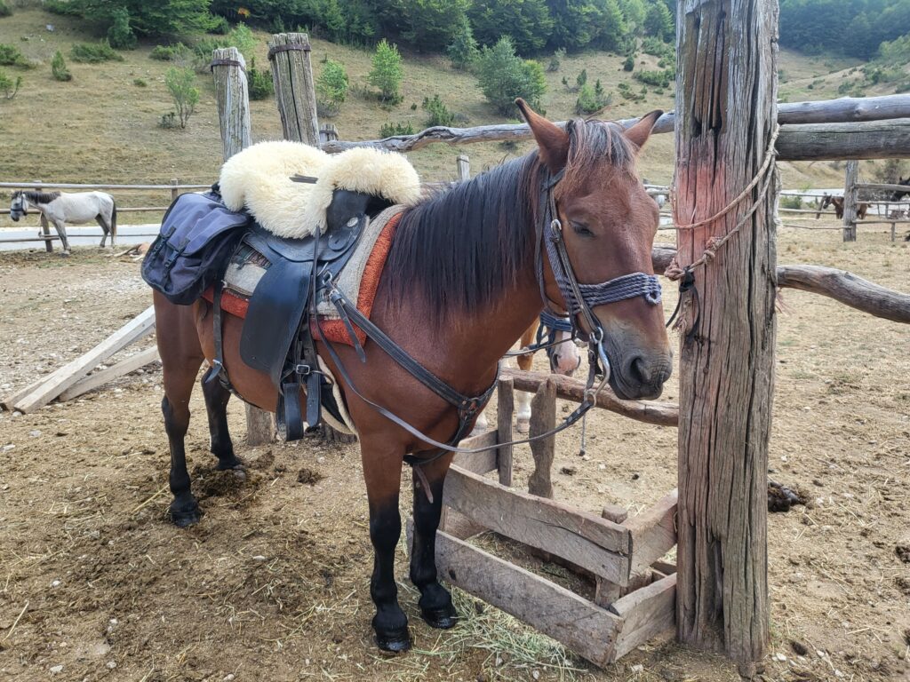 vakantie te paard in Noord-Macedonië