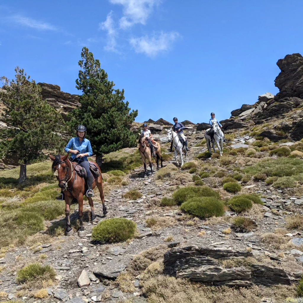 paarden doorheen Sierra Nevada
