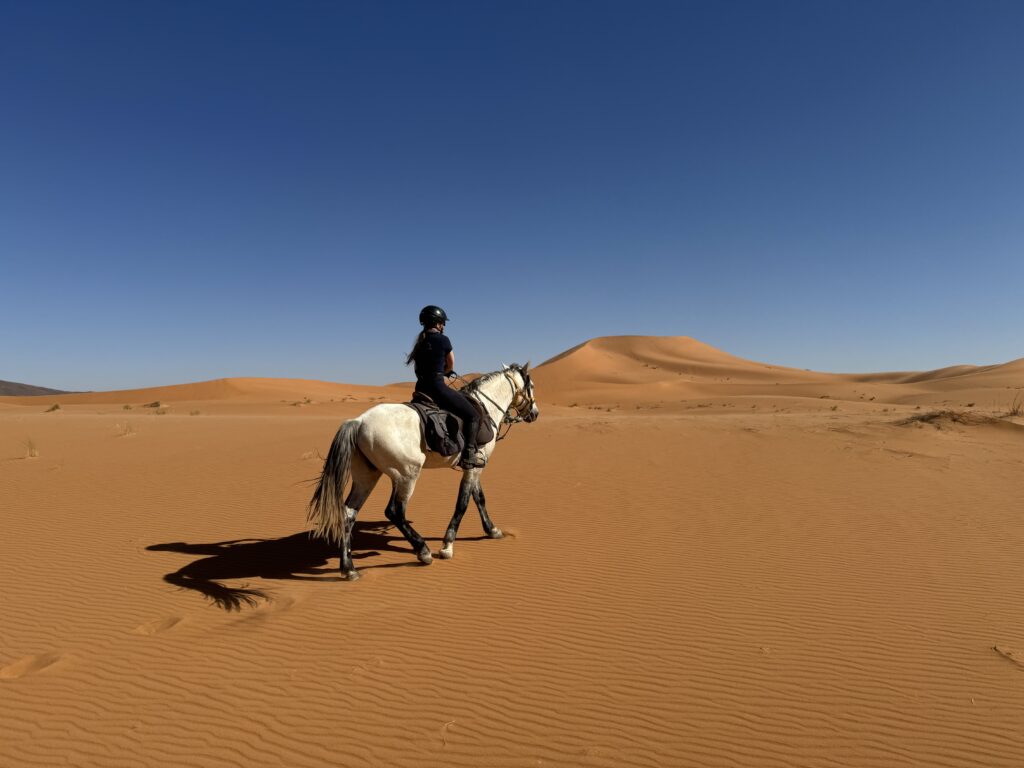 Marokko - vakantie te paard - paardrijvakanties - ruitervakanties
