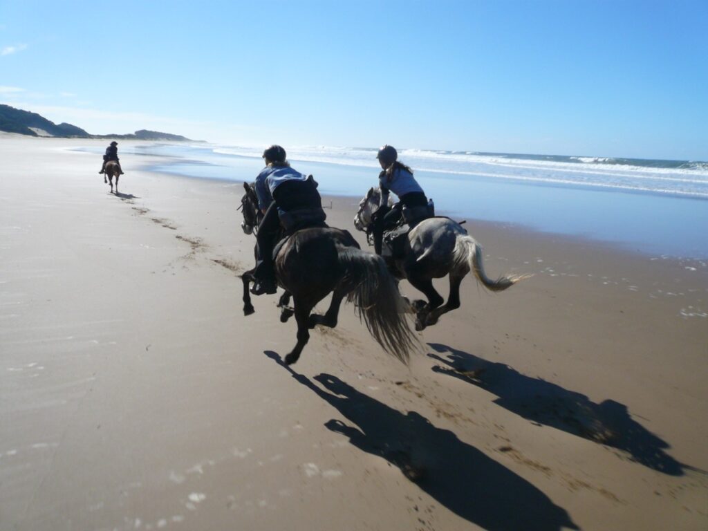 Waarom kiezen voor een vakantie te paard blog2 Wild Coast Zuid Afrika groot - vakantie te paard - paardrijvakanties - ruitervakanties