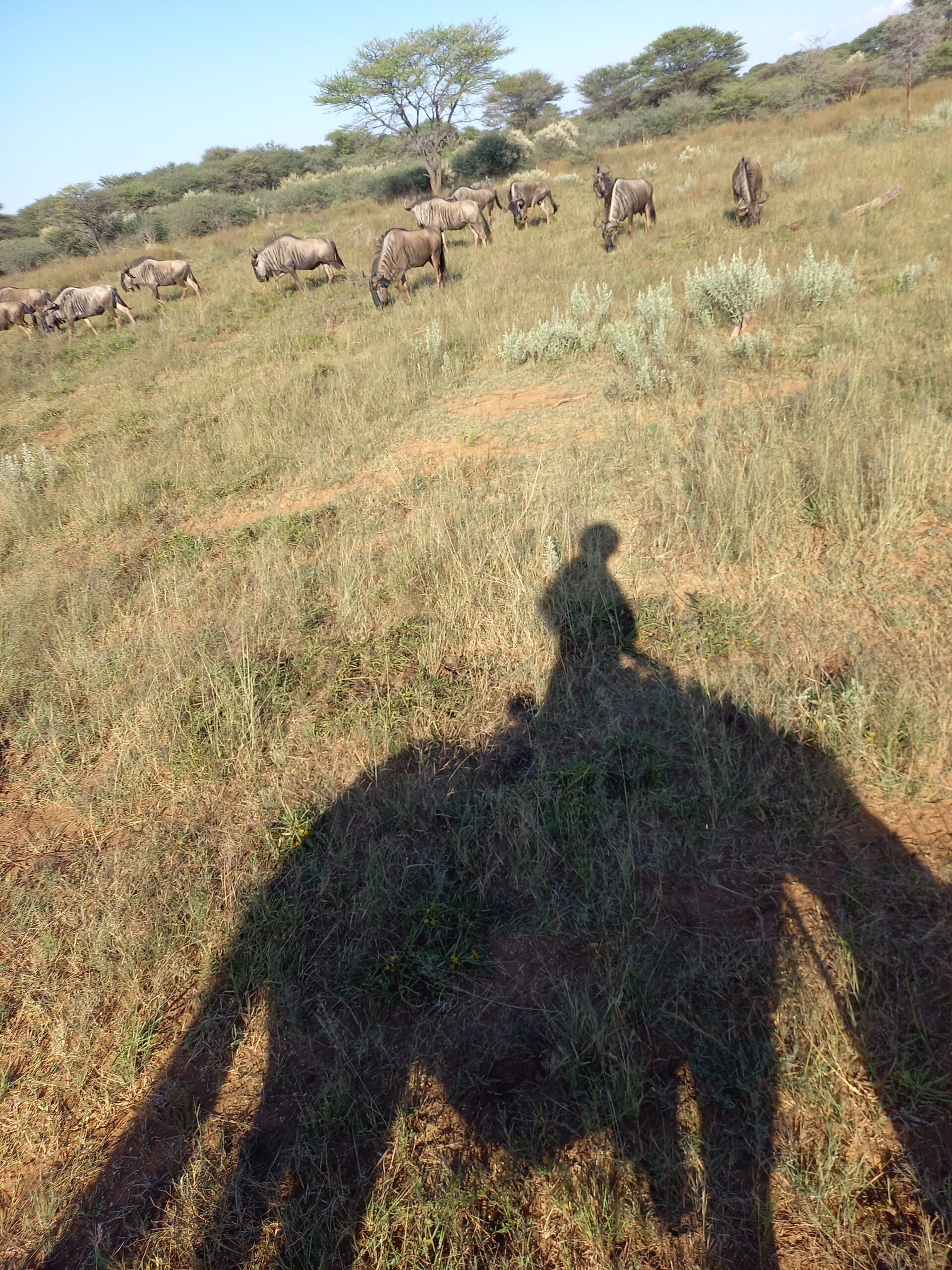 foto blog 1 scaled - vakantie te paard - paardrijvakanties - ruitervakanties